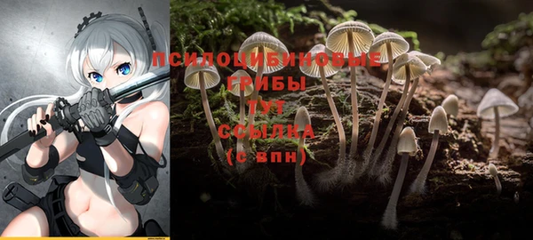 метадон Баксан
